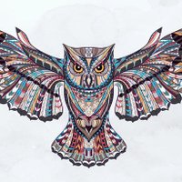 Phi Delt (@msu_phi_delt) 's Twitter Profile Photo