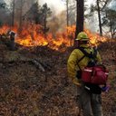 nab1776 - @AaronNab - Twitter