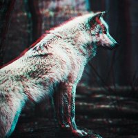 ༺David༻ (@_davidvera) 's Twitter Profile