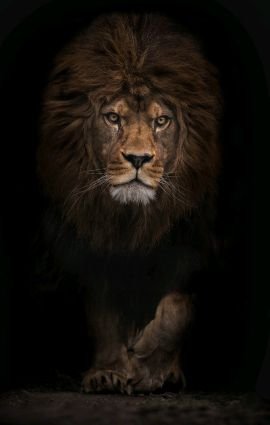 Twothreefive3's profile picture. Real as f*ck