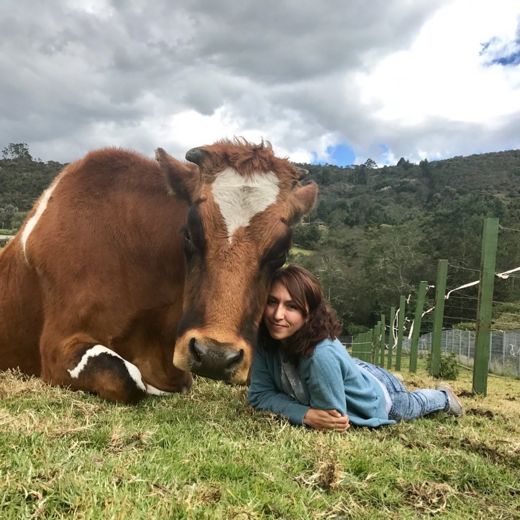 🇨🇴 First farm animal sanctuary in Colombia , 🇺🇸A 501c3 non-profit in the U.S 💸  Donate here: https://t.co/eSWS5p71bA