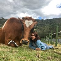 Juliana's Sanctuary(@julianasfarm) 's Twitter Profile Photo