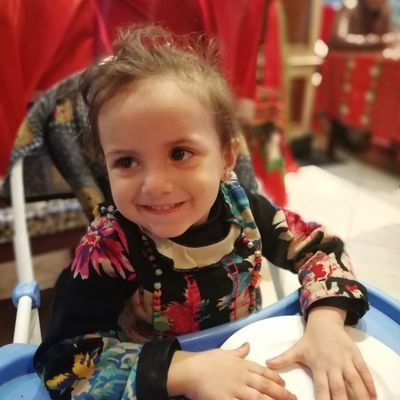 Mahmoud48728054's profile picture. 