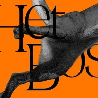 HET BOS! (@het_bos) 's Twitter Profile