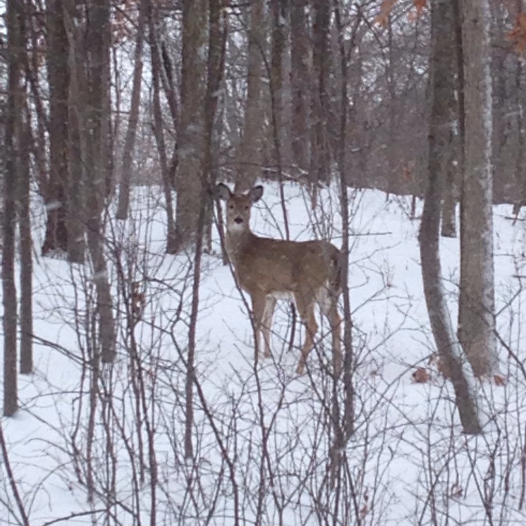 pamalu1029's profile picture. Wife,Mommy, Mom, Daughter, Sister, Friend and most of all a Follower of God