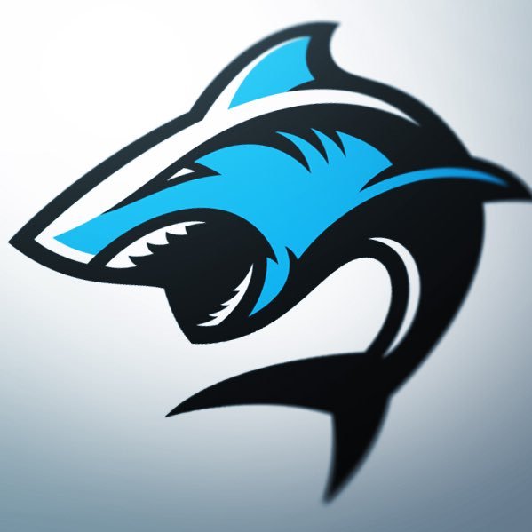 Sports Wagering Consultant
VIP Member plays will be sent through Telegram.