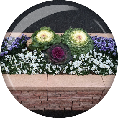 こじこじ こちらは海上自衛隊呉資料館です これらは ドルフィンマーク って言うそう で 訓練して潜水艦に乗る資格のある人がつけられるんだそうです たくさん展示したあったけど ウクライナのがシンプルで可愛いかったです 17 8 4広島 呉の旅