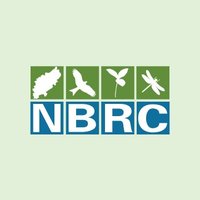 NBRC(@_Northants_BRC) 's Twitter Profile Photo