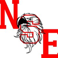 North Smyrna Elementary (@nsessd) Twitter profile photo