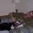Craig_Truglia's profile image