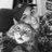 catb2394's profile image