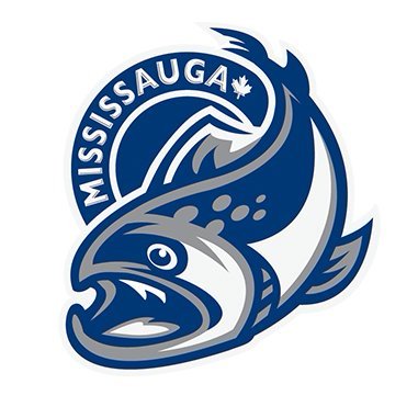 Mississauga Steelheads fan account!