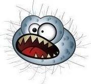 Lover of probiotics, fermented foods and all things buggy!
Author.