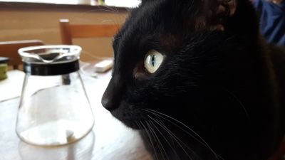 なごぶーなごさんのプロフィール画像
