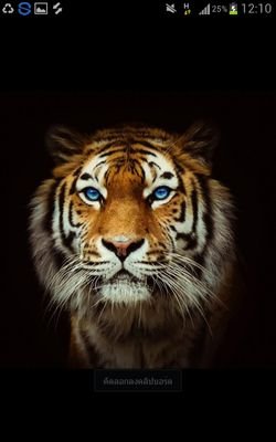 hovaCola's profile picture. ความคิดถึงจะมีค่า เมื่อ มีเสียงตอบกลับมาว่าคิดถึงเหมือนกัน