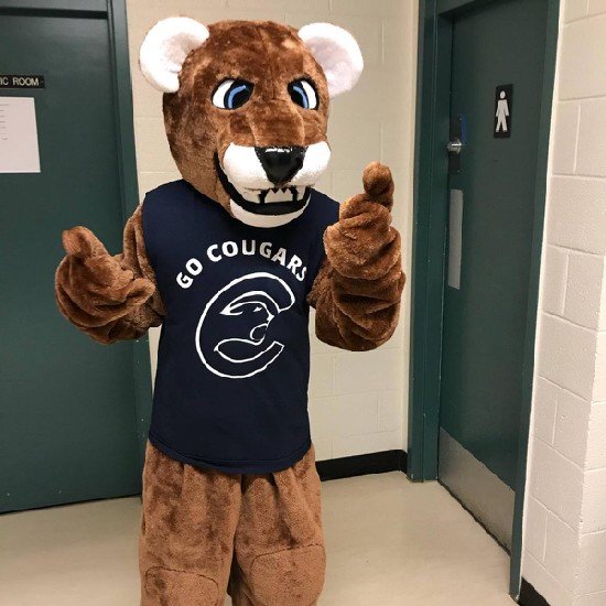 Clarenville High is home to the Cougars! We have a great school with awesome teachers and students.