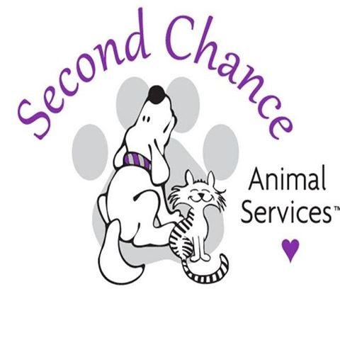 Second Chance Animal Services has been helping animals since 1999. We are a no-kill, non-profit charitable 501c3 organization. We help over 44,000 pets a year