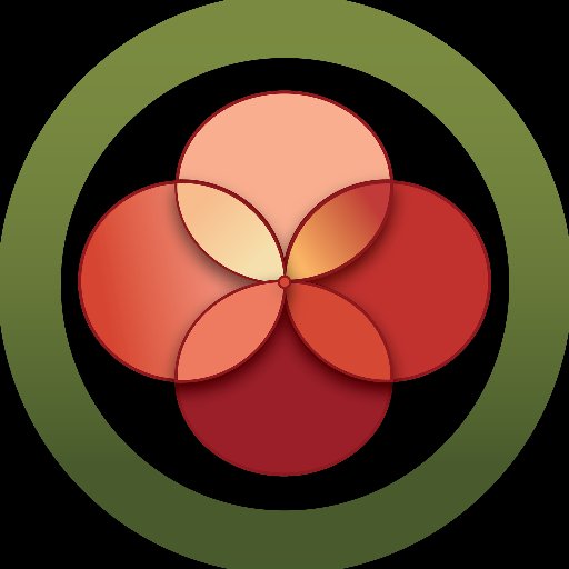 resollusion's profile picture. 