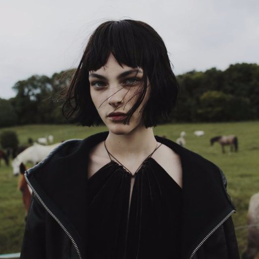 123ecila's profile picture. joke & news