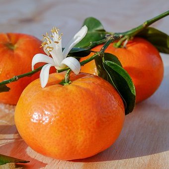 weightloss, healthy diet, weight loss tips, healthy living