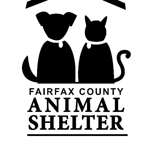 Official account of the Fairfax County Animal Shelter. A showcase of adoptable pets, useful info and announcements, Find us on Facebook and Instagram, too!