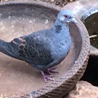 Proff Field Course (@profffield) 's Twitter Profile