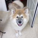 Derek Muñoz - @DerekMuoz5 - Twitter