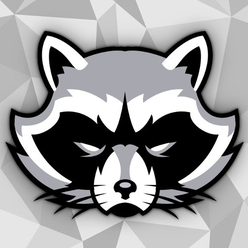 raccoonqc's profile picture. Équipe de League of Legends. raccoonqc@gmail.com for informations.