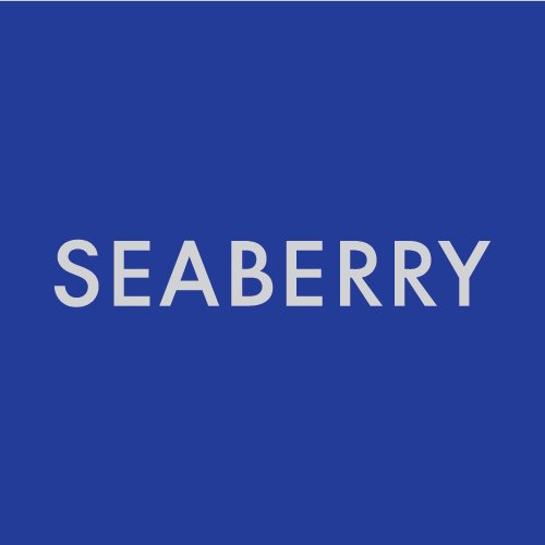 Seaberry Design is a graphic design practice, based in Washington DC. We design brand identities, publications, information graphics and campaigns.