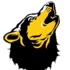 MVSCareerCtr's profile picture. 