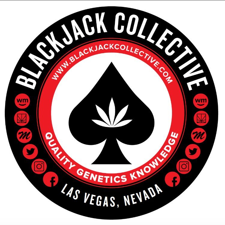 Las Vegas’ Premier Cannabis Dispensary Located Just Minutes From the Strip 702.545.0026 **For Ages 21+ Keep Out of Reach of Children**