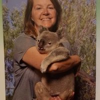 Dawn M (@dawnm731) 's Twitter Profile