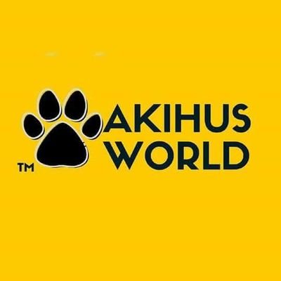 For lovers of Akitas, Huskyes and more. Send us your photos to:
akihusworld@gmail.com 
#akihusworld #akihus #comunidadakita #akitacommunity