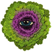 Cabbagehead (@cabbageheadband) 's Twitter Profile
