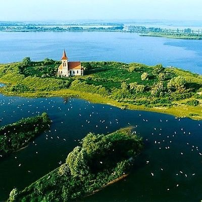 MintasDani's profile picture. 