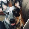 MrsTruskiewicz's profile picture. Teacher, Mom, someone who loves to learn something new each day, to be happy and spread kindness,