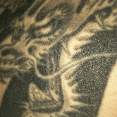 kabukimono_1119's profile picture. ミラで活躍中