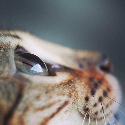 igakubuikunoda's profile picture. のらりくらり。