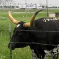 John L (@johnl66499507) 's Twitter Profile