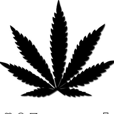 Smoke a tree of knowledge - Jay-Z| #cannabisculture 🌍wide #LegalizeMarijuana | AFROCENTRIC 🌏CITIZEN | URBAN CULTURE | Going green with the GREENS till I grin