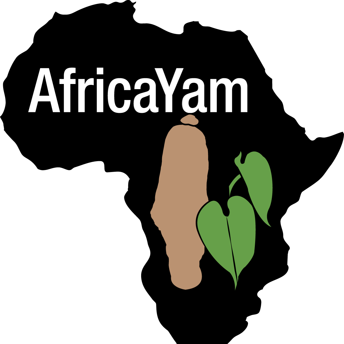 AfricaYam is a yam breeding project with specific focus on strengthening yam breeding in West Africa.

Retweets are not endorsement!