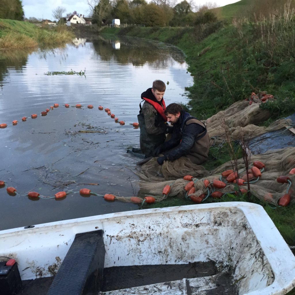 IoT Systems Manager @Previsico. Research: Fluvial Geomorphology, Hydrology, Fisheries Science. VMO.