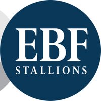 Irish Stallion Farms (@irishebf_) 's Twitter Profile