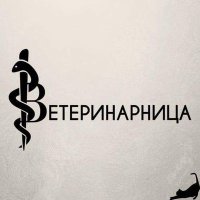 Ветеринарница (@veterinarnica) 's Twitter Profile