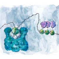 DykhuizenLab (@emilydykhuizen) 's Twitter Profile Photo DykhuizenLab (@emilydykhuizen) 's Twitter Profile Photo