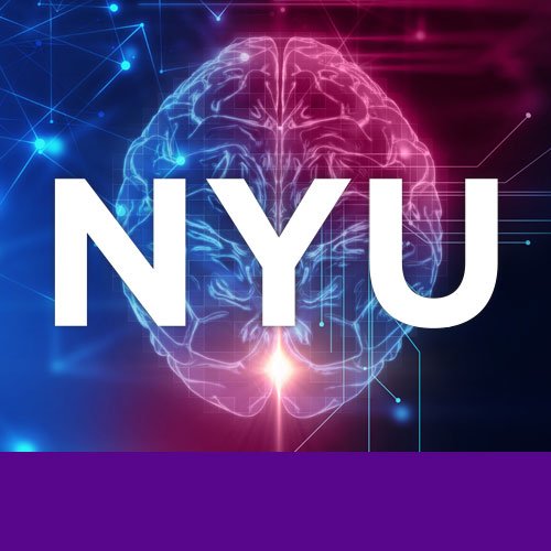 Developmental psychology lab at NYU led by Drs. Clancy Blair and Cybele Raver | Investigating self-regulation in the context of poverty-related adversity