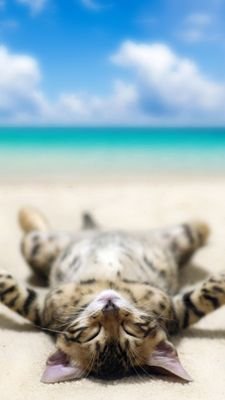 o4s8WXaartQFxNr's profile picture. 