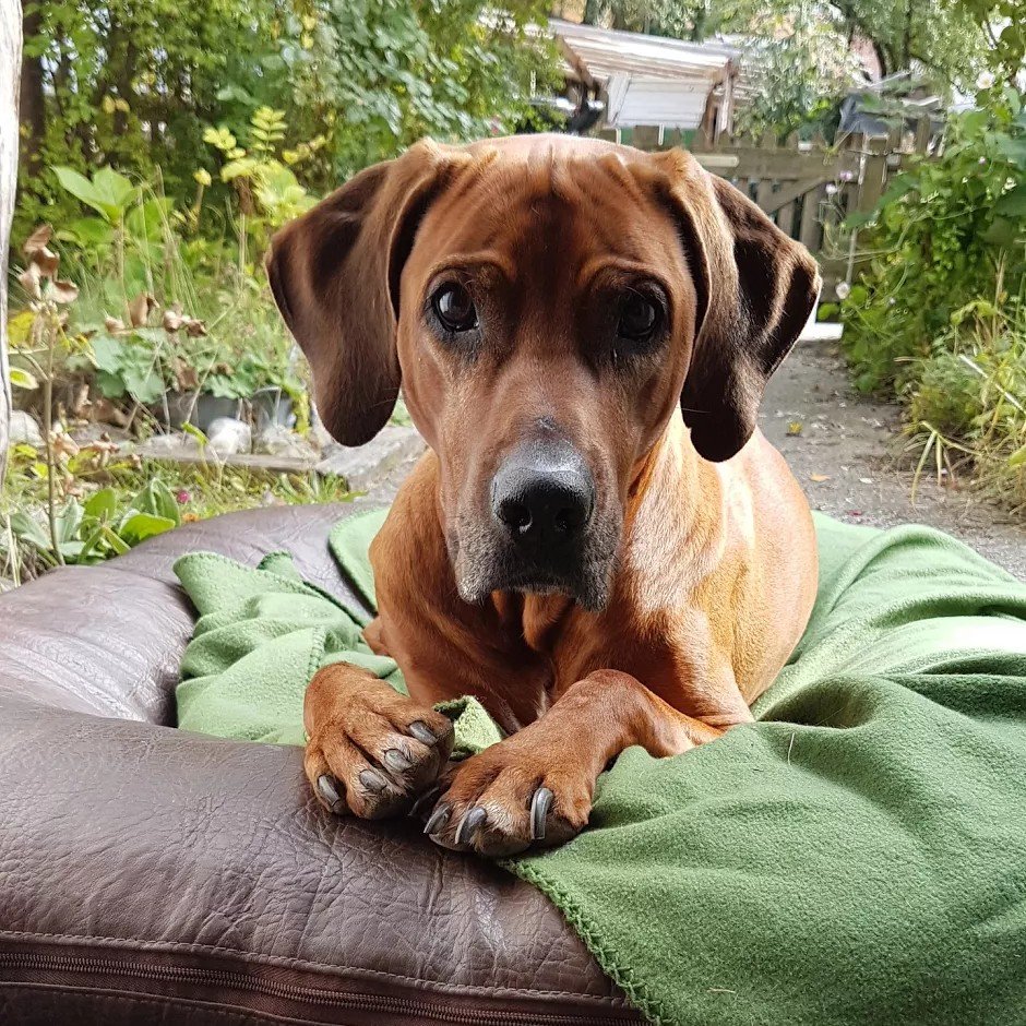 sgbeal's profile picture. https://t.co/5oDoWEVtoZ