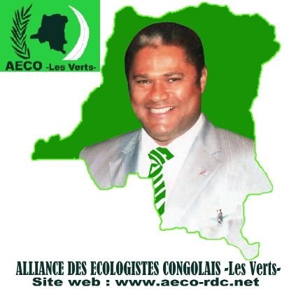 👉🏾Député Nat.
👉🏾Ministre hon. de l'Environnement
👉🏾 Président 'Alliance des Ecologistes Congolais -Les Verts-'
👉🏾Présid. Fédérat° écolos Afriq. Centrale