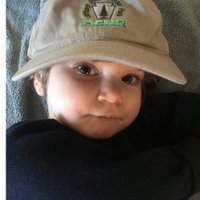 Steve Stroman (@stevestroman1) 's Twitter Profile